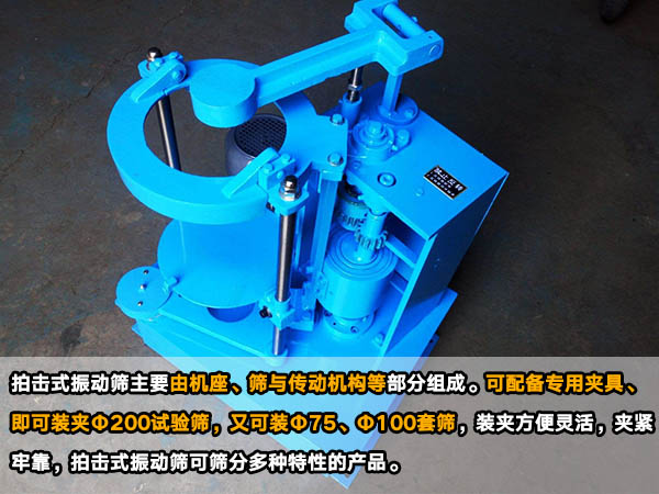 拍击式绿巨人成人网站