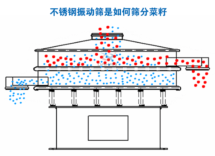 不锈钢绿巨人成人网站