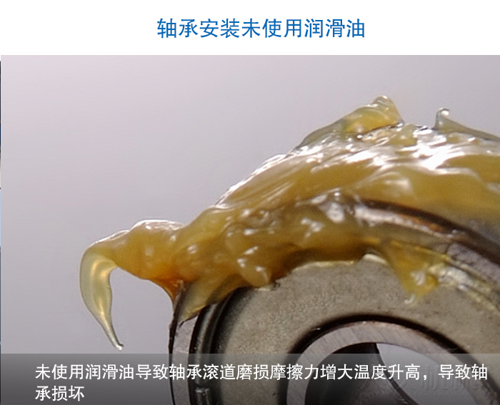 圆绿巨人成人网站